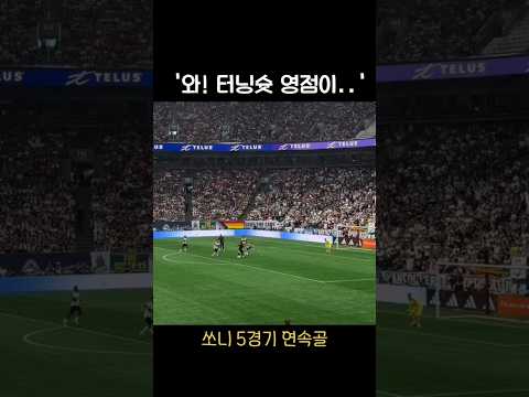 손흥민 <strong>환상</strong> 터닝슛 골 ㄷㄷ
