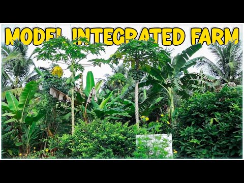 Integrated Farming System - Model Farm