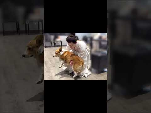 李昀锐怎么做到36.5度的嘴巴说出如此冰冷的话！#李昀锐 #liyunrui #小林李昀锐 #尚公主 #九重紫