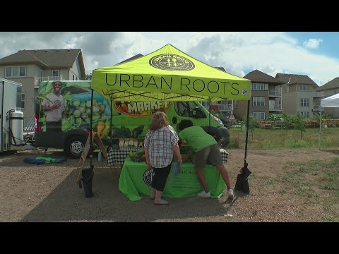 Urban Roots brings fresh food to underserved areas