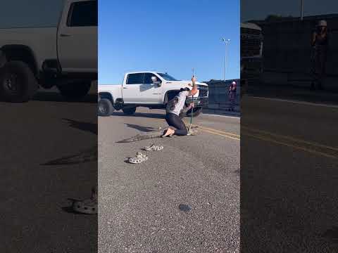 Can You Catch A Gator?😂