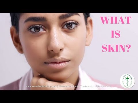 Skin Definition | Why Is The Skin Important