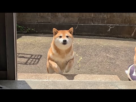 おやつへの期待度が高い末っ子ちゃん