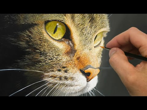 Painting a Cat! | Episode 201