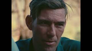 Harlan County U.S.A (1976)