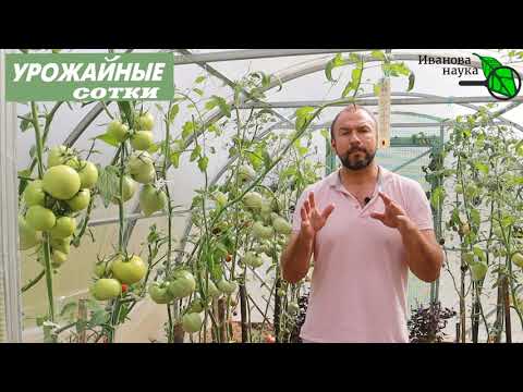 Как хранить томаты, огурцы и прочие овощи, чтобы сохранить подольше? И без потери вкуса и пользы!