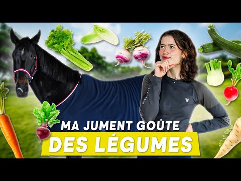 DÉGUSTATION EXTRÊME POUR MA JUMENT 😱🥕 qu'est-ce qu'elle préfère ?