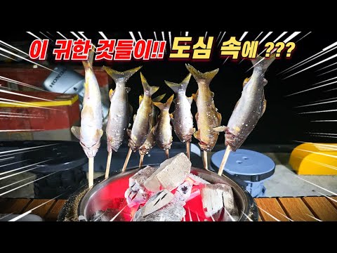 이 귀한 것들이 도심 속에 있다니!! 임금님께서 즐겨 드셨던 술안주!!