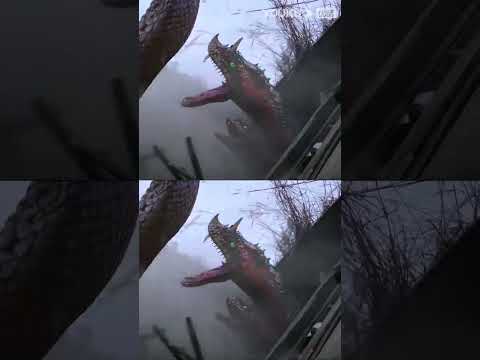 "تجربة تباين أفعى الهيدرا العظيمة"｜هيدرا المتحولة تهاجم وجهاً لوجه! كيف يجب أن يقاتل البشر؟｜YOUKU