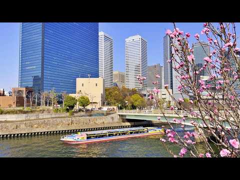 2026年3月 桃の花とアクアライナー　大阪城お花見クルーズ　＠大阪城 桃園