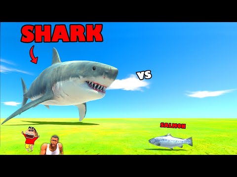 Can Salmon KILL a GIANT SHARK in Animal Revolt Battle Simulator with SHINCHAN and CHOP