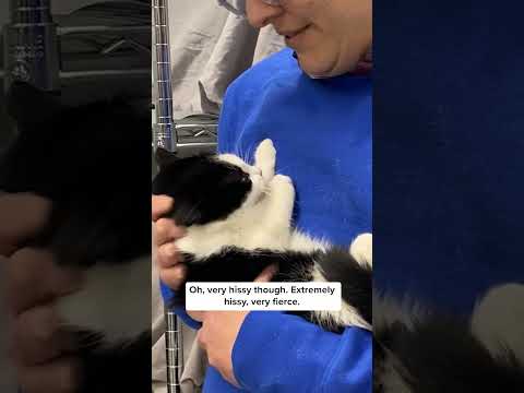 Spicy Floof scooped just in time