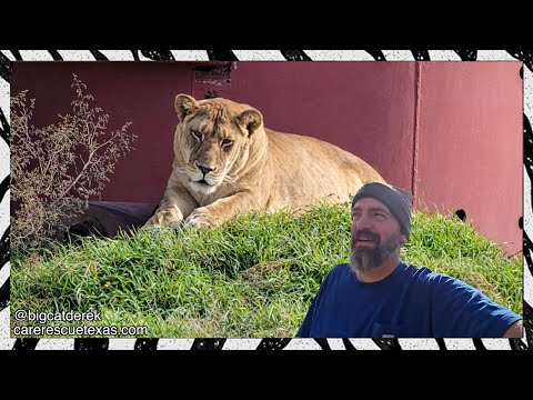 Noey Can't Read | WATC 992