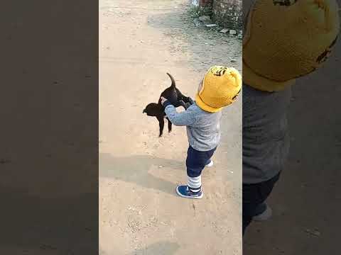 Cute baby play with puppy 🤩
