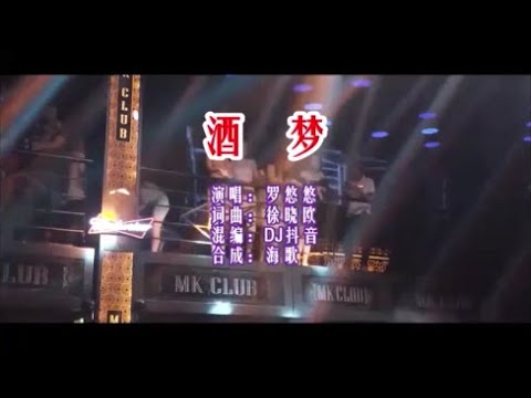 罗悠悠 《酒梦 （DJ福建抖音版）》 KTV 导唱字幕 （备有伴奏视频）