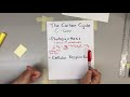 Photosynthesis and Cellular Respiration Concepts