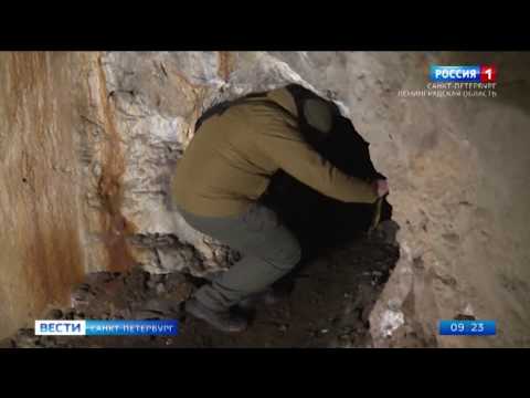 Форт Ино штурмуют вандалы
