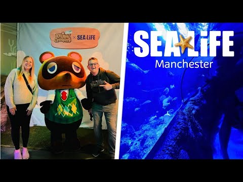 SEA LIFE Manchester 2025 FULL Tour & AWESOME Animal Crossing Event!