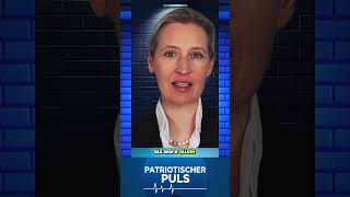 Alice Weidel WARNT vor Spritpreisen 💥 Bald 3€ pro Liter?! #afd #Reden