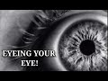 Visual System and Eye Conditions