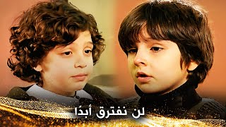 هذه الصداقة الجميلة لا تُمنح للجميع - يجب أن تنجح