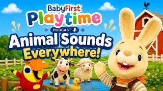 Animal Sounds Everywhere! | Animal Sounds for Kids