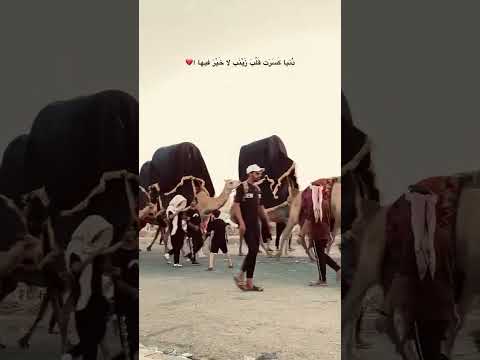 ساعد الله قلبك مولاتي 😞💔 #اللهم_صل_على_محمد_وال_محمد #اهل_البيت_عليهم_سلام #مولاتي_زينب #يافاطمه