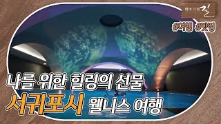 [테마기행 길] 나를 위한 힐링의 선물 #서귀포시 웰니스 여행 | MBC경남 221118 방송 다시보기
