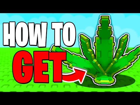 How To GET ALOE VERA In Grow A Garden! (ALOE VERA SHOWCASE) Roblox