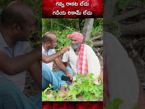 గవ్వ రాకటలేదు నీతోని #comedy #trending #trolling #viral #funny #shortvideo #palleramulu #asmr #fun