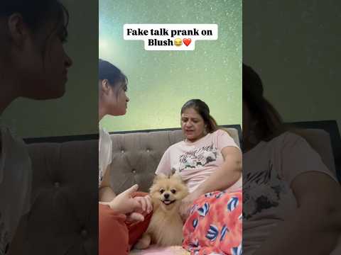 Fake talk prank on blush😂#shorts #viral #viralvideo #viralshorts #ytshorts #ytviral #trending #dog