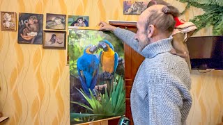 видео
