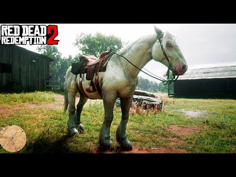 RED DEAD 2 - EL MEJOR CABALLO DE TODOS!! - Nexxuz