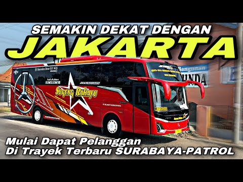 Mulai Dapat Pelanggan Di Trayek Baru 😱 Semakin Dekat Dengan Jakarta ❗️| trip Sugeng Rahayu W 7062 UO