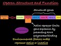 Lac Operon and Gene Regulation
