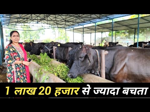 6 गाय से शुरू कर आज कमा रही 1 लाख से उपर | Dairy Farming In Bihar