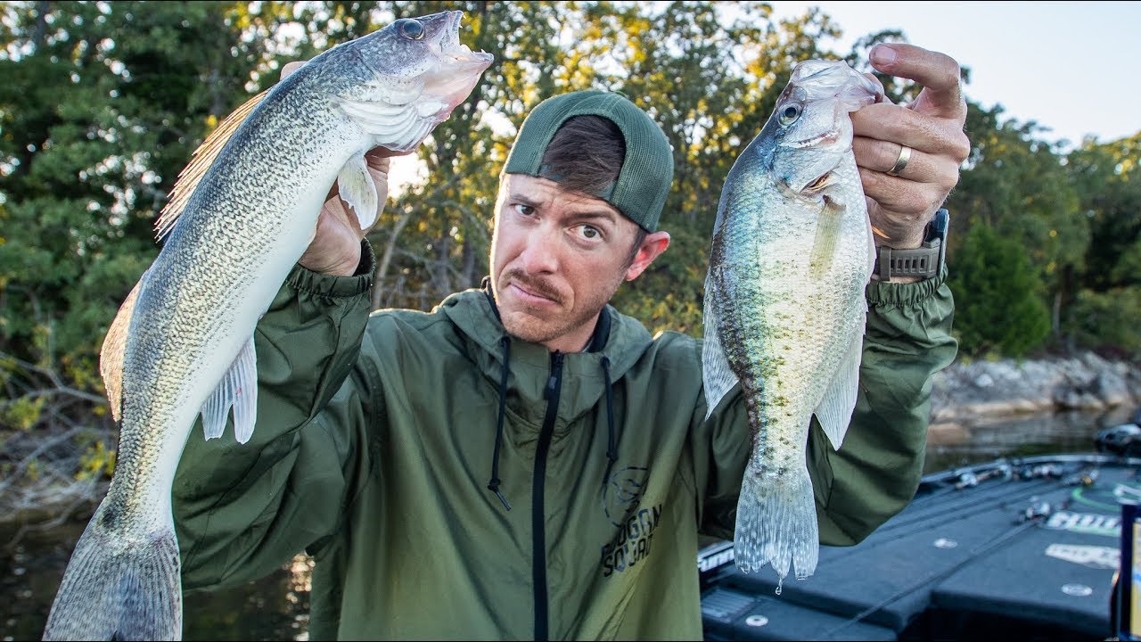 BEST FRESHWATER FISH TO EAT? (Crappie vs Walleye Catch & Cook)