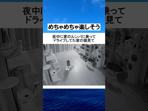 おうちエレクトリカルパレード