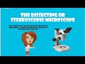 Exploring the World of Microscopes
