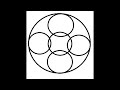 Counting Circles Techniques and Accuracy