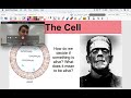 Cell Biology Concepts and Processes