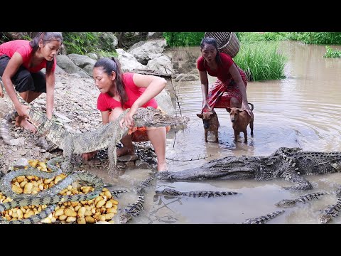 Women catch Snake found crocodile mother and baby, Worm food, My lovely monkey