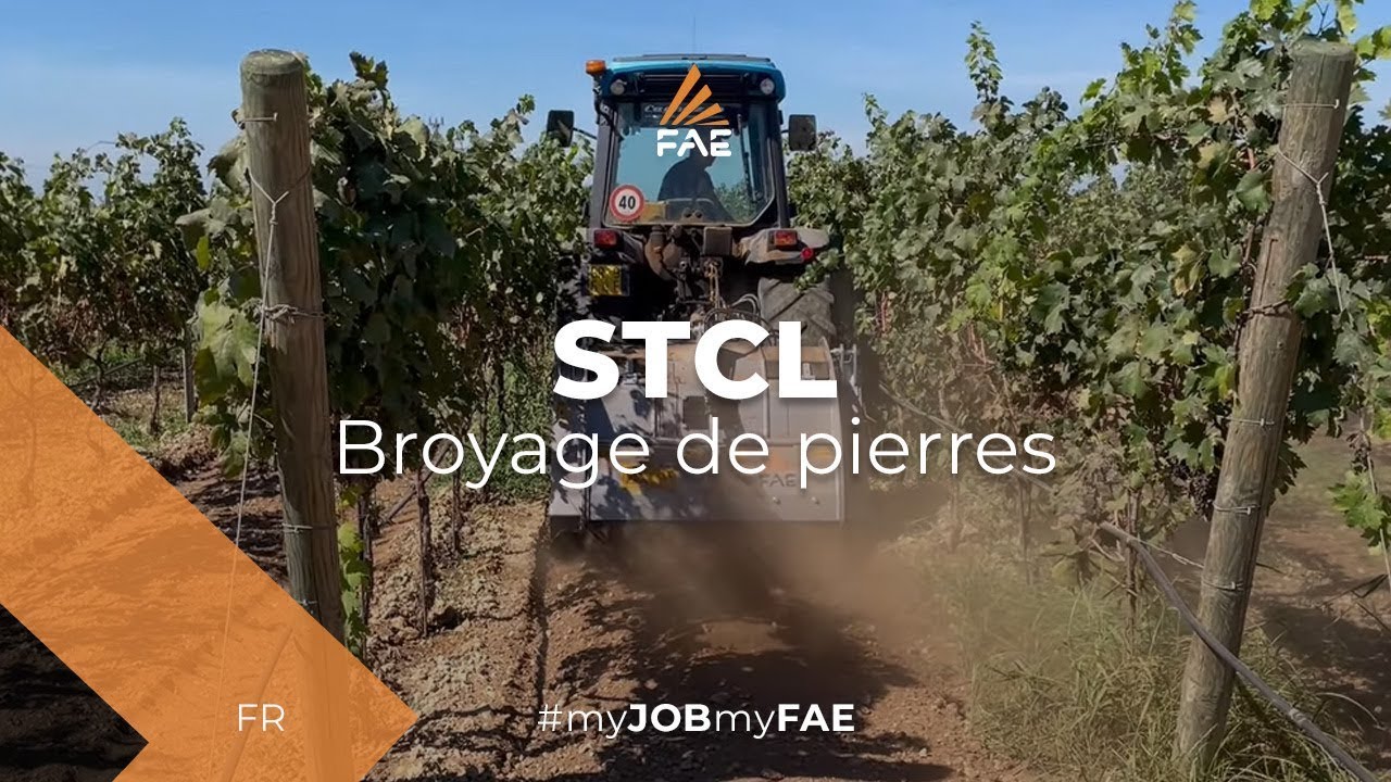 Vidéo - FAE STCL - Le broyeur de pierres FAE pour tracteurs au travail dans une vigne des Pouilles (IT)