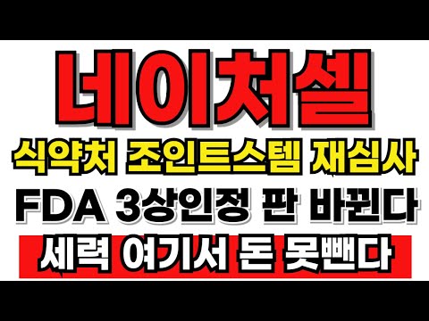 [네이처셀 분석] 식약처 조인트스템 재심사! FDA 3상 인정 분위기 바꼈다! #네이처셀 #네이처셀주가 #네이처셀주가전망