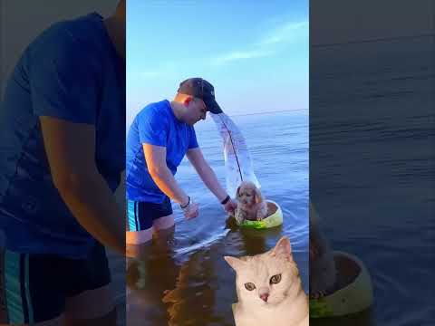 ЧТО МЫ СДЕЛАЛИ ИЗ АРБУЗА