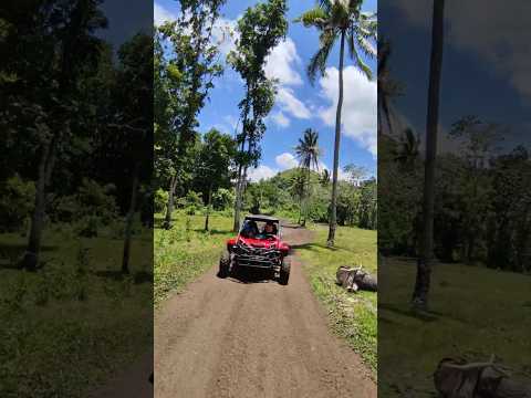 ATV IN BOHOL #paulvelasco #beholdbohol #bohol #fyp #ATV #atvnews