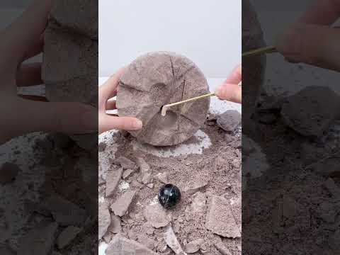 ASMR DIG A MYSTERY FUFUSQUISHY LYCHEE KIT!!