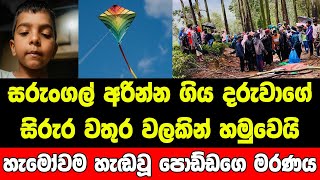 මම කැලේට යද්දි දරුවා හිටියේ වතුර වලේ