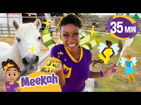 Meekah’s Fairy and Horse Adventure at the Zoo! | Educational Videos for Kids | Blippi and Meekah TV