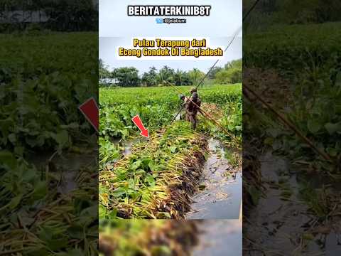 PULAU TERAPUNG DARI ECENG GONDOK DI BANGLADESH #shorts #viralshorts #trending